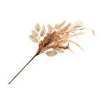Tekokasvi Syysoksa Beige