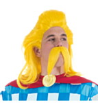 Asterix® Kakofonix Peruukki & Parta