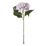 Tekokukka Hortensia Liila