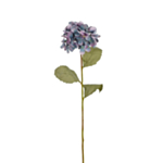 Tekokukka Hortensia Liila