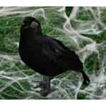 Halloween Korppi Musta