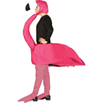 Flamingo Asu