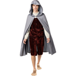 The Lord Of The Rings® Frodo Viitta