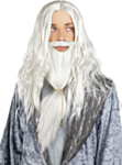 Harry Potter® Dumbledore Peruukki & Parta