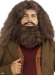 Harry Potter® Hagrid Peruukki & Parta