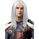 Dungeons And Dragons® Drizzt Do'Urden Peruukki