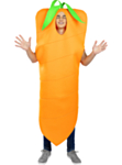 Porkkana Asu