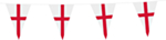 Wales Viirinauha