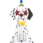 Juhla Dalmatialainen Foliopallo