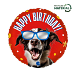 Cool Doggy Syntymäpäivä Folioilmapallo