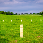 Kubb-peli