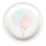 Boy or Girl Paperilautaset