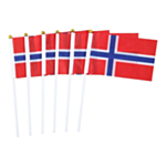 Norjan Liput Tikuissa