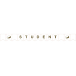 Student Viirinauha