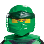 Ninjago® Lloyd Naamari