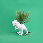 Dinosaurus Kukkaruukku