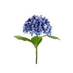 Tekokukka Premium Hortensia Merensininen