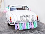Love Autokoriste Hopea