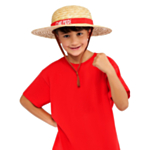 One Piece® Monkey D. Luffy Hattu