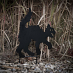 Halloween Kissa Metallisiluetti