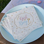 Boy Or Girl -servetit