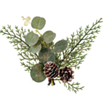 Jouluoksa Eukalyptus Pöytäkoriste