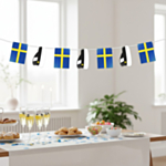 Ruotsalaisen ylioppilaan viirinauha