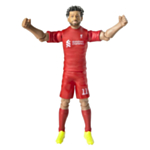 Liverpool FC® Salah Jalkapallohahmo