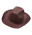 Realistinen Ruskea Cowboyhattu