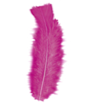 Strutsinsulat Pinkki