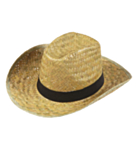 Texas-hattu