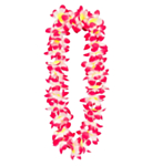 Havaijikranssi Pinkki