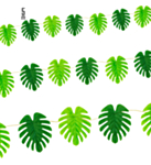 Monstera Lehtiköynnös Vihreä