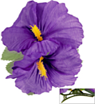 Hibiskus Hiusklipsi Liila