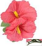 Hibiskus Hiusklipsi Vaaleanpunainen