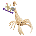 Skorpioni Luuranko