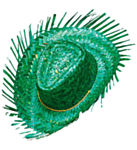 Sombrero Olkihattu Vihreä