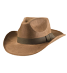 Indiana Jones -hattu
