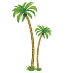 Palmu