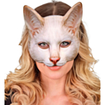 Kissa Naamio