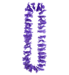 Waikiki Havaiji Kukkalei Violetti