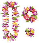Mauna Havaiji-setti
