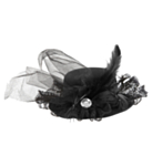 MinilierihattuTimantilla