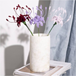 Hämähäkkililja DIY Vaaleanpunainen/Liila