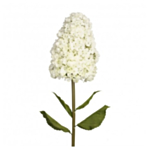 Tekokukka Hortensia Varrella