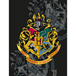 Harry Potter® Tylypahka Fleeceviltti Musta