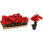 Kunstig Juleblomst I Potte Rød