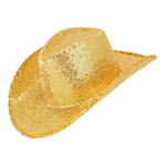 Kultainen cowboyhattu paljeteilla