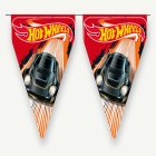 Hot Wheels® Viirinauha