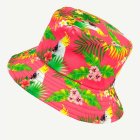 Havaiji Kakadu Kalastajanhattu Vaaleanpunainen